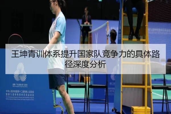 王坤青训体系提升国家队竞争力的具体路径深度分析