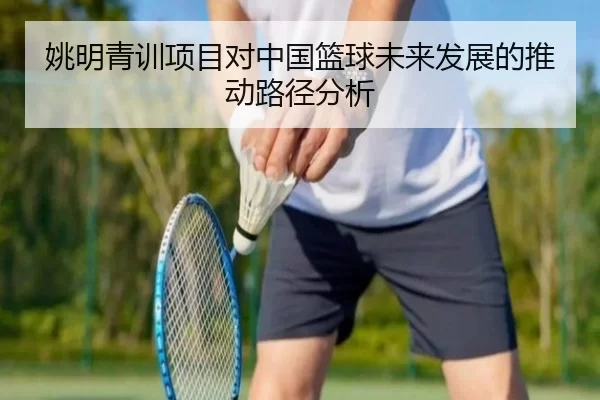 姚明青训项目对中国篮球未来发展的推动路径分析