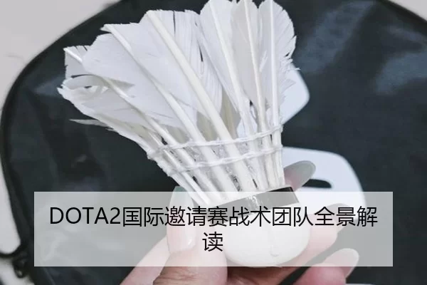 DOTA2国际邀请赛战术团队全景解读