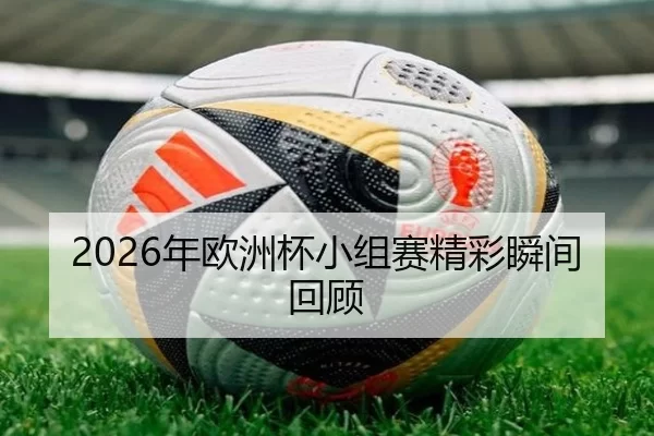 2026年欧洲杯小组赛精彩瞬间回顾