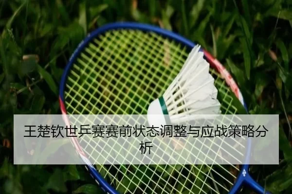 王楚钦世乒赛赛前状态调整与应战策略分析